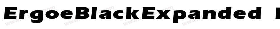 ErgoeBlackExpanded Regular字体转换